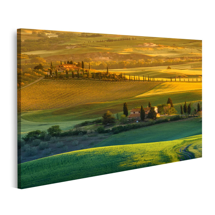 islandburner Bild auf Leinwand Toskana Italien Bilder Wandbilder Poster, 80L x 40B cm