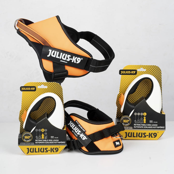 Julius-K9 Rollleine, M - 5 m Band, Weiss/Orange – Rutschfester Griff, Bandleine, ausziehbar, Einhand