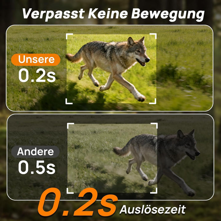 iZEEKER Solar Wildkamera mit Handyübertragung App, HD 48MP 4G LTE & Standard Wildkamera, Bewegungsme