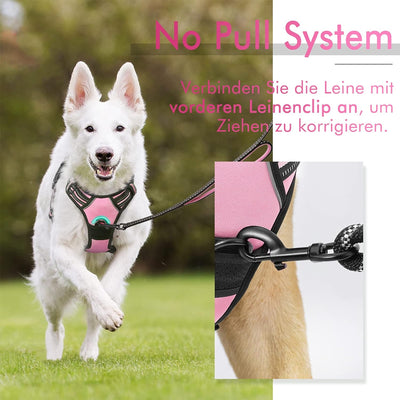 rabbitgoo Hundegeschirr Mittelgrosse Hunde Anti Zug Geschirr Hund mit Kontrolle No Pull Verstellbar