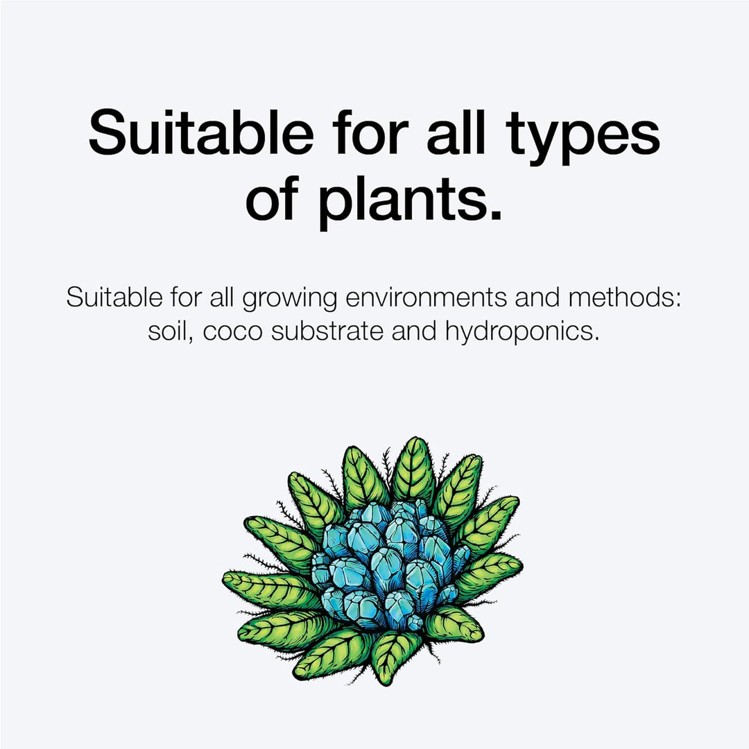 Xpert Nutrients Silica Force (1 L) – Stressreduzierer, Silizium-Ergänzung, Silica-Zusatz, gesunde St