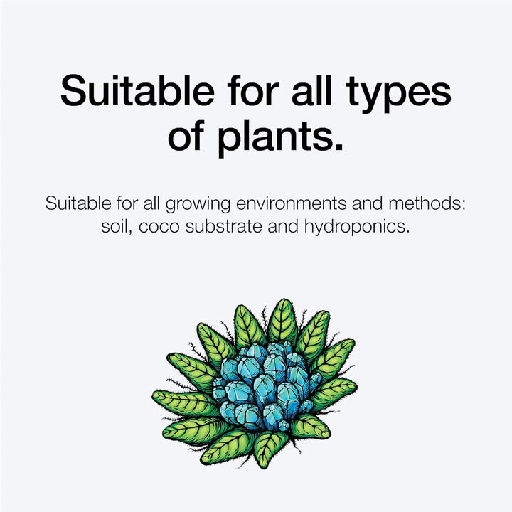 Xpert Nutrients Silica Force (1 L) – Stressreduzierer, Silizium-Ergänzung, Silica-Zusatz, gesunde St