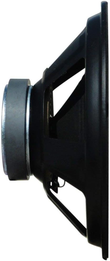 1 WEB W-128 Lautsprecher niedrige mid woofer Diffuser 30,00 cm 300 mm 12" von 125 watt rms 250 watt