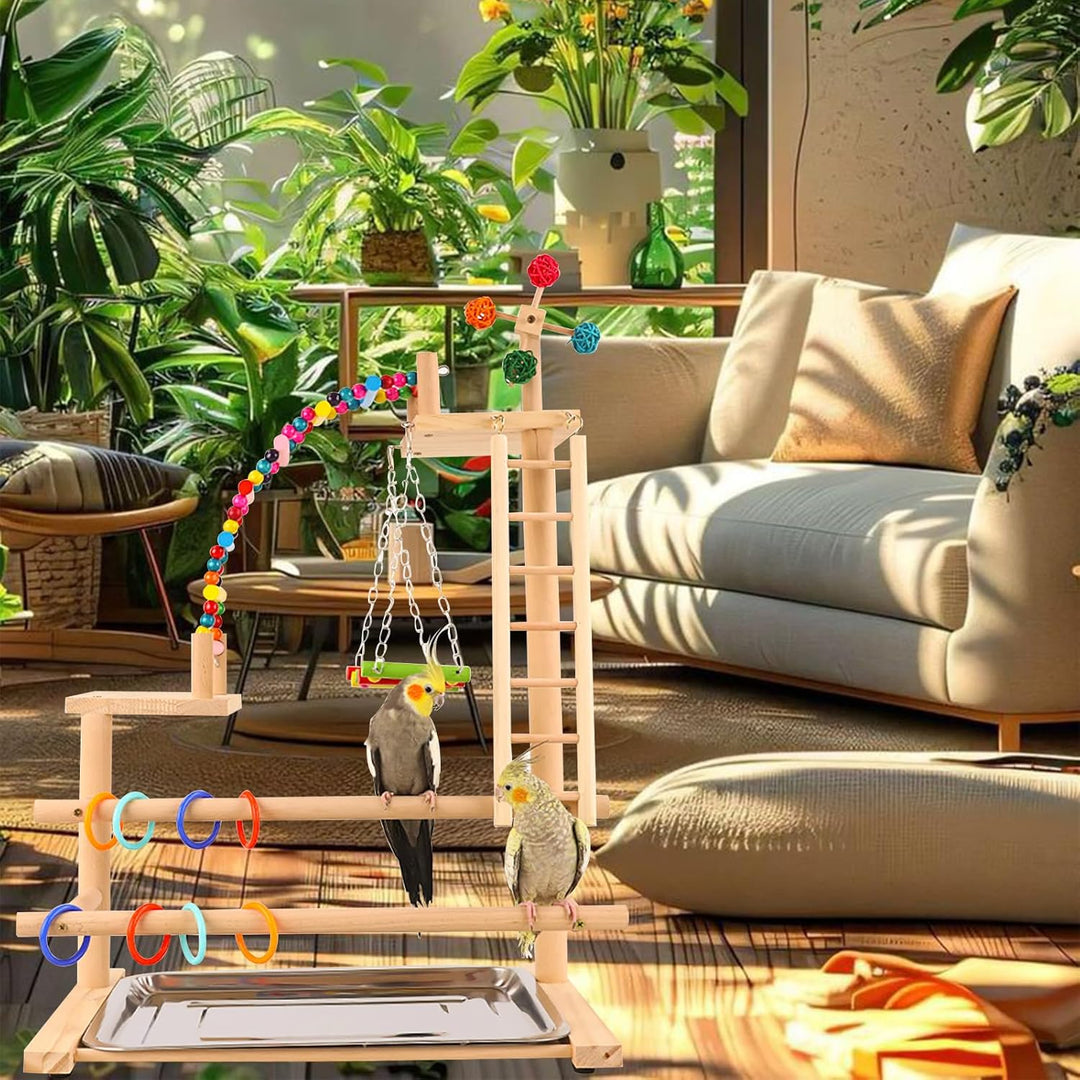 Papagei Vogelspielplatz, Wellensittich Spielzeug, Parrot Playstand, Geeignet für Eclectus, Ara, Kaka