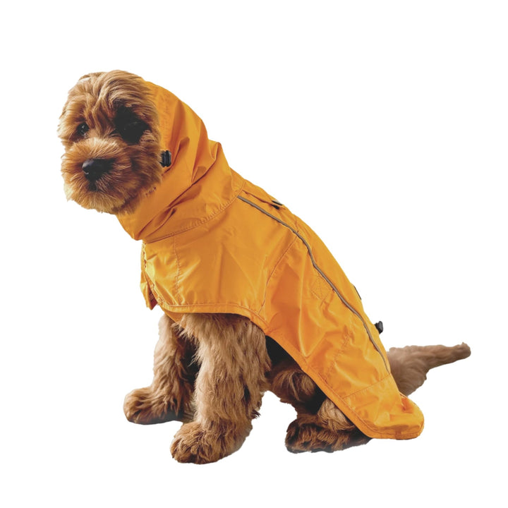 Spark Paws Hunderegenmantel, wasserdichte Winddichte Regenjacke, für kleine, mittlere, grosse und ex