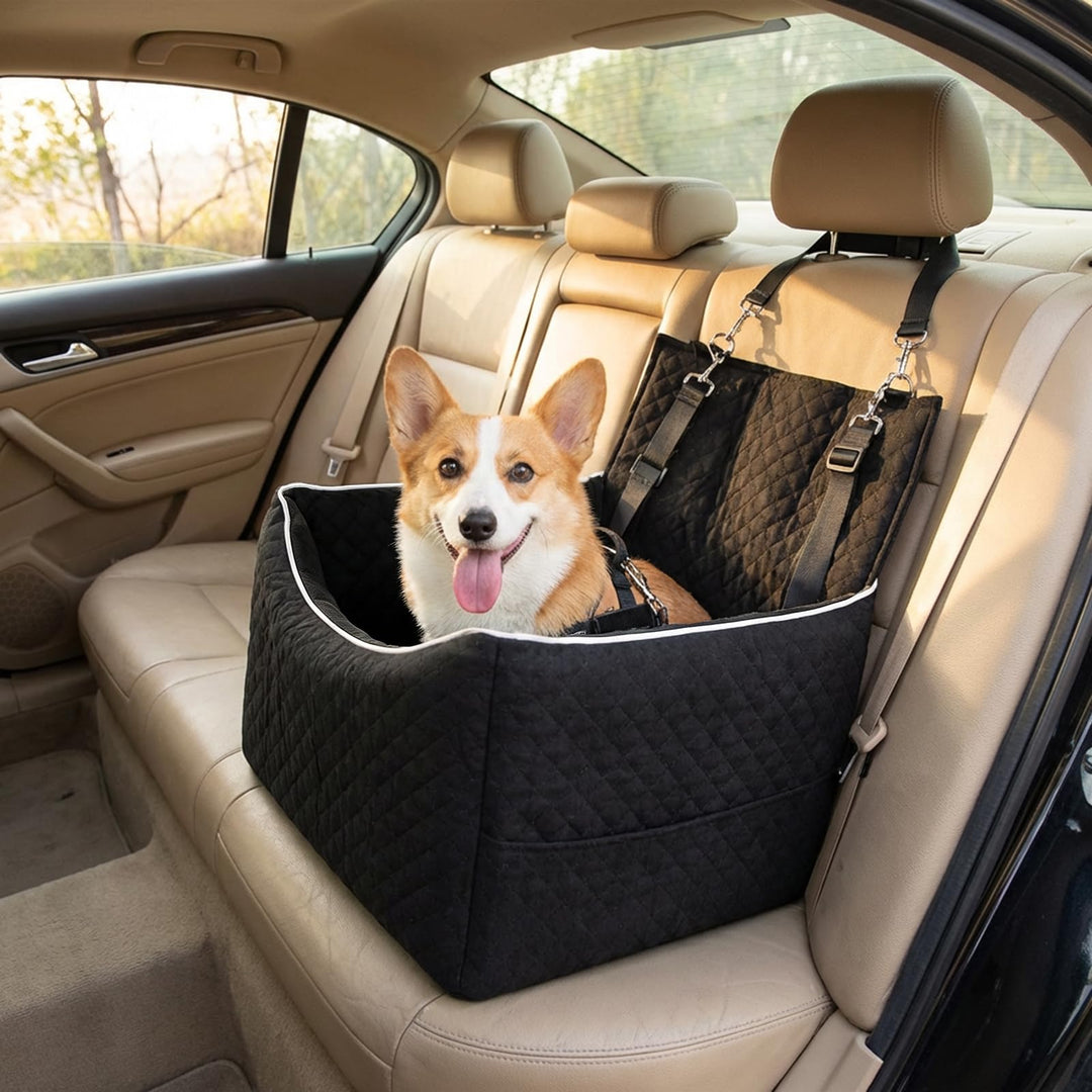Hunde Autositz für kleine und mittlere Hunde bis 15,8 kg Hundesitz Auto mit 2 Sicherheitsgurten und