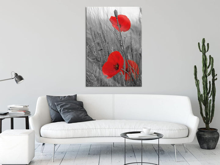 Pixxprint Glasbild | Wandbild aus Echtglas | einzelne Mohnblumen im Getreidefeld | 60x80 cm | inkl.