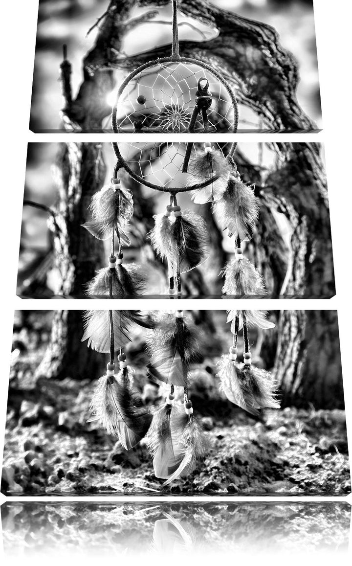 Pixxprint Monocrome, Dreamcatcher 3-Teiler Leinwandbild 120x80 Bild auf Leinwand