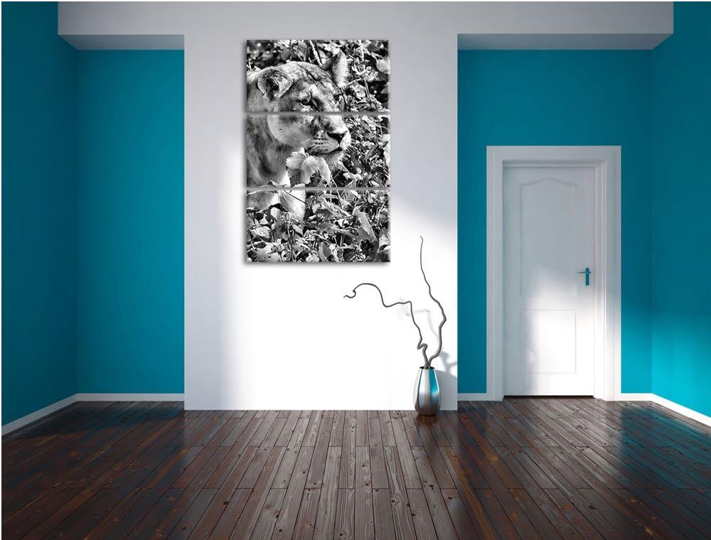 Pixxprint wachsame Löwin als Leinwandbild/Grösse: 3 Teilig (120x80) cm/Wandbild/Kunstdruck/fertig be