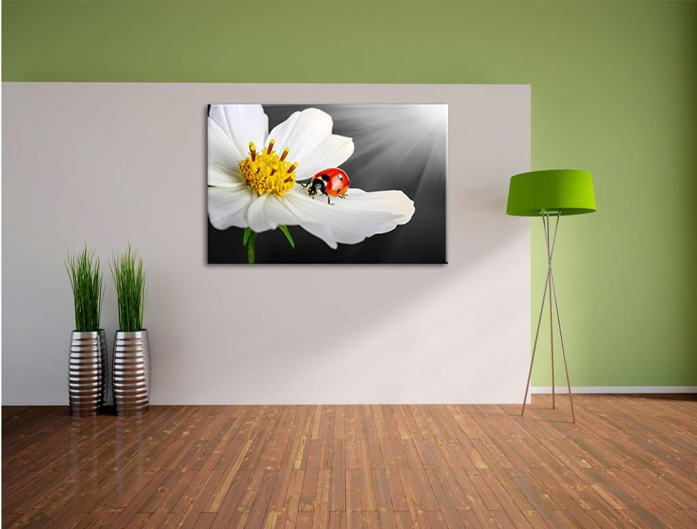 Pixxprint Marienkäfer auf Einer weissen Blume als Leinwandbild/Grösse: 100x70 cm/Wandbild/Kunstdruck