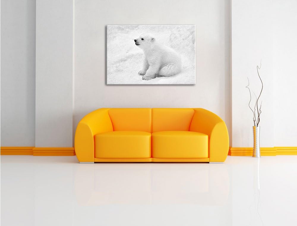 Pixxprint Eisbär Baby als Leinwandbild/Grösse: 100x70 cm/Wandbild/Kunstdruck/fertig bespannt, 100x70