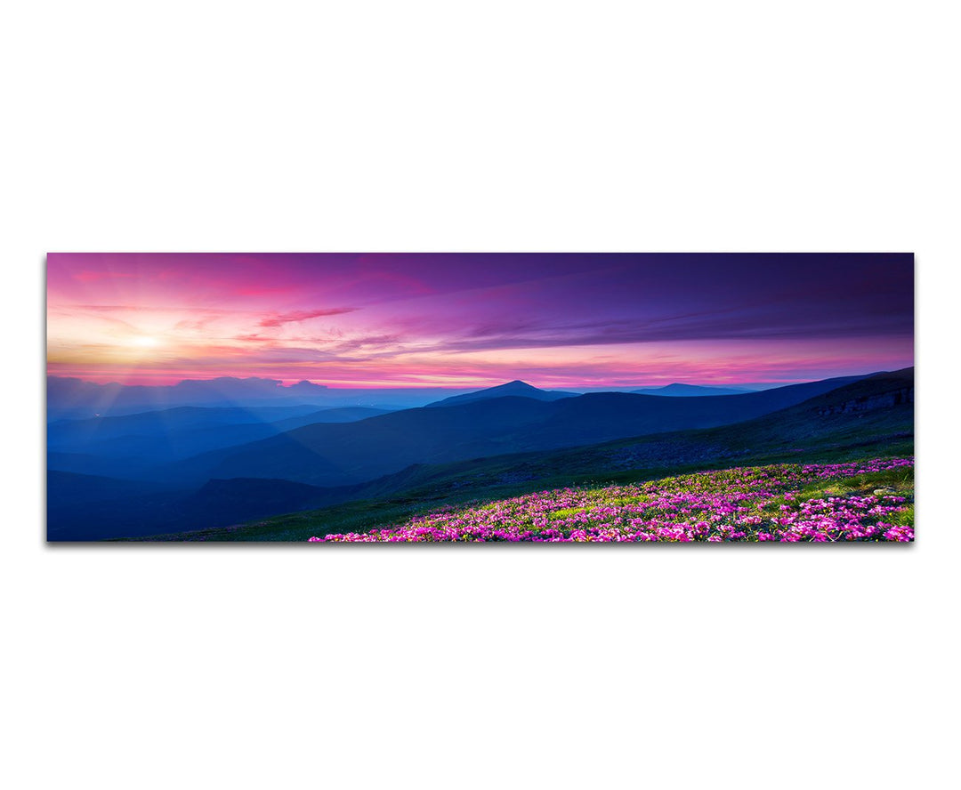 Paul Sinus Art Panoramabild auf Leinwand und Keilrahmen 120x40cm Ukraine Blumen Wiese Berge Sonnenun