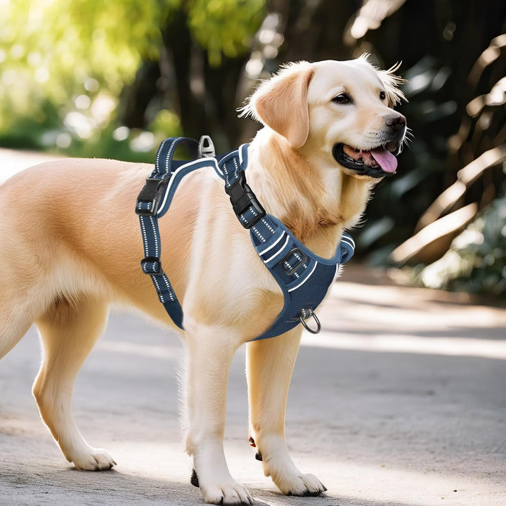 HEELE Hundegeschirr ohne Zug, Brustgeschirr für grosse Hund, einstellbares reflektierendes Hunde Ges