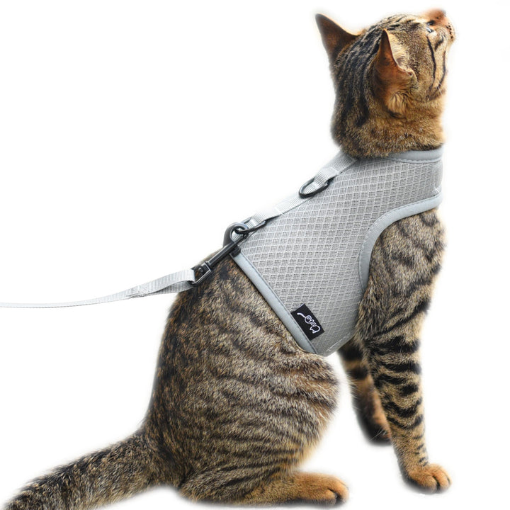 Katzengeschirr und Leine zum Spazierengehen, ausbruchsicher, atmungsaktives Netzgewebe, einfarbig, g