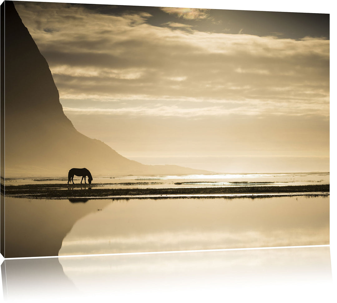 Pixxprint Pferd am Ufer Einer Insel / 100x70cm Leinwandbild bespannt auf Holzrahmen/Wandbild Kunstdr