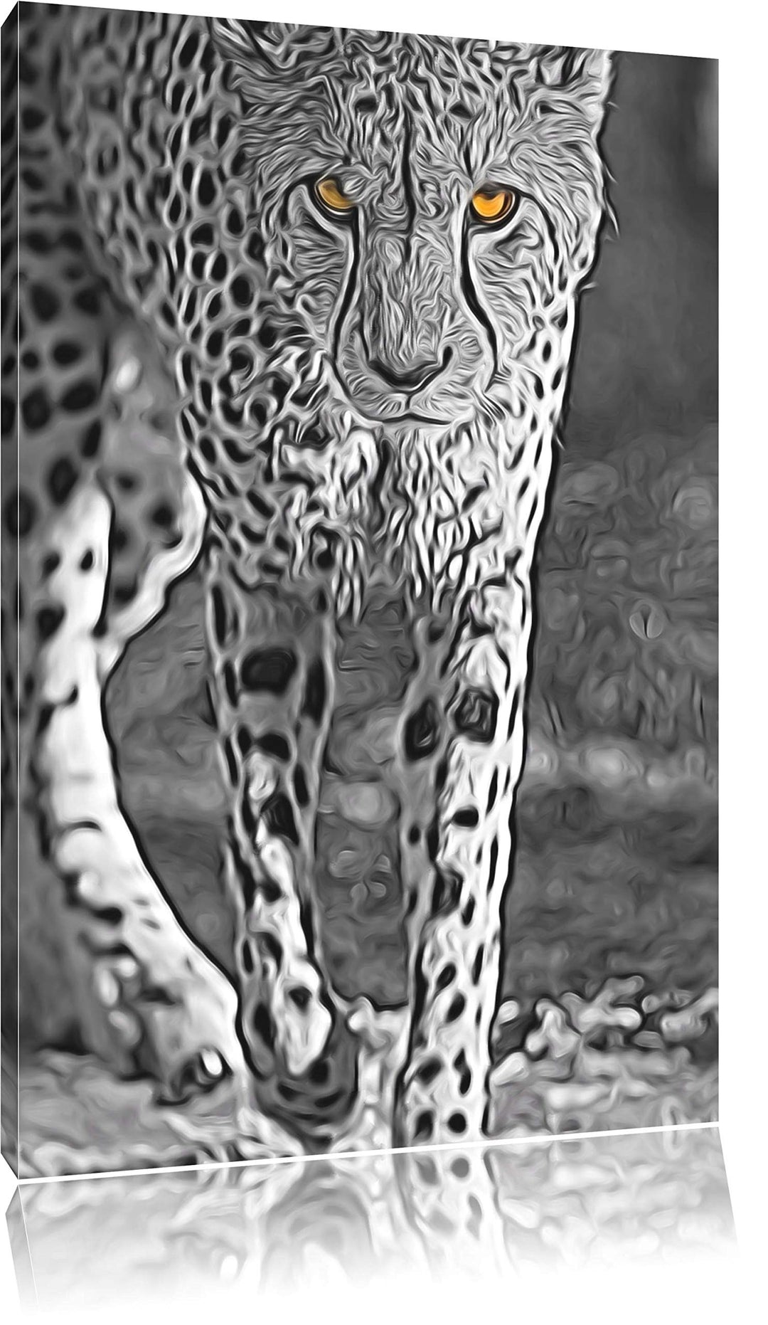 anpirschender listiger Gepard schwarz/weiss Deluxe Format: 100x70 cm auf Leinwand, XXL riesige Bilde
