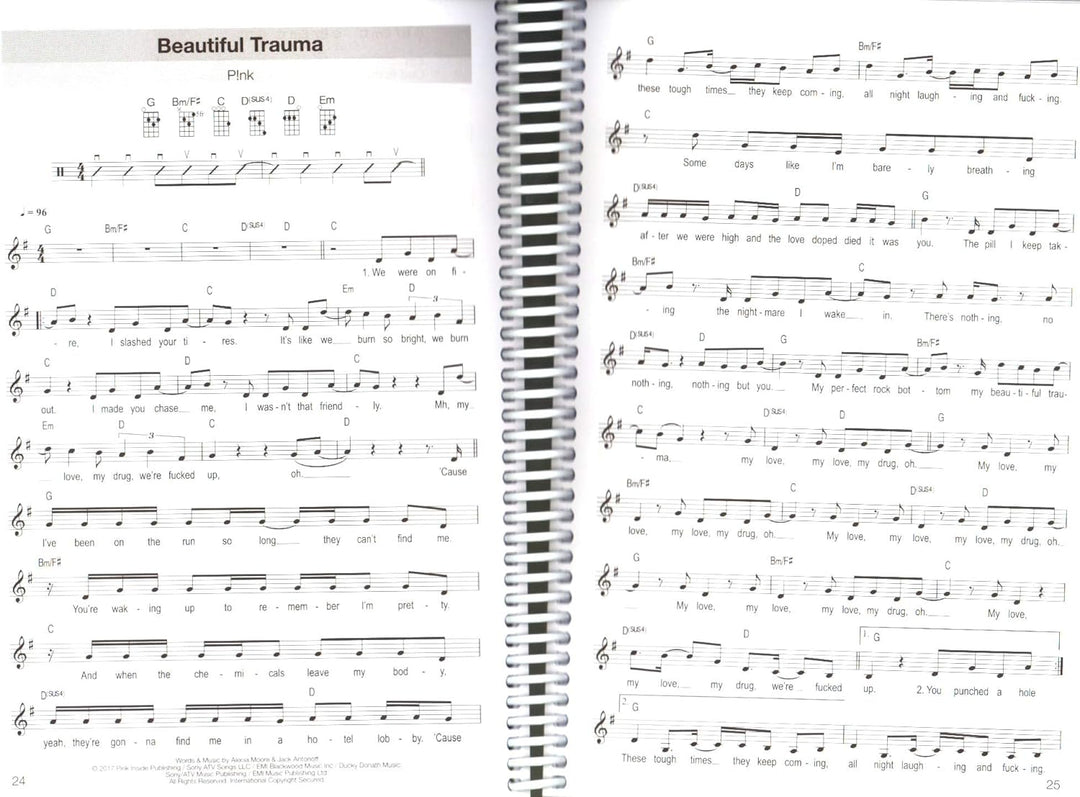 Hitbook 2-100 Chart Hits für Ukulele (mit Texten und Akkorden) - Singbook mit Dunlop Plek - Verlag B