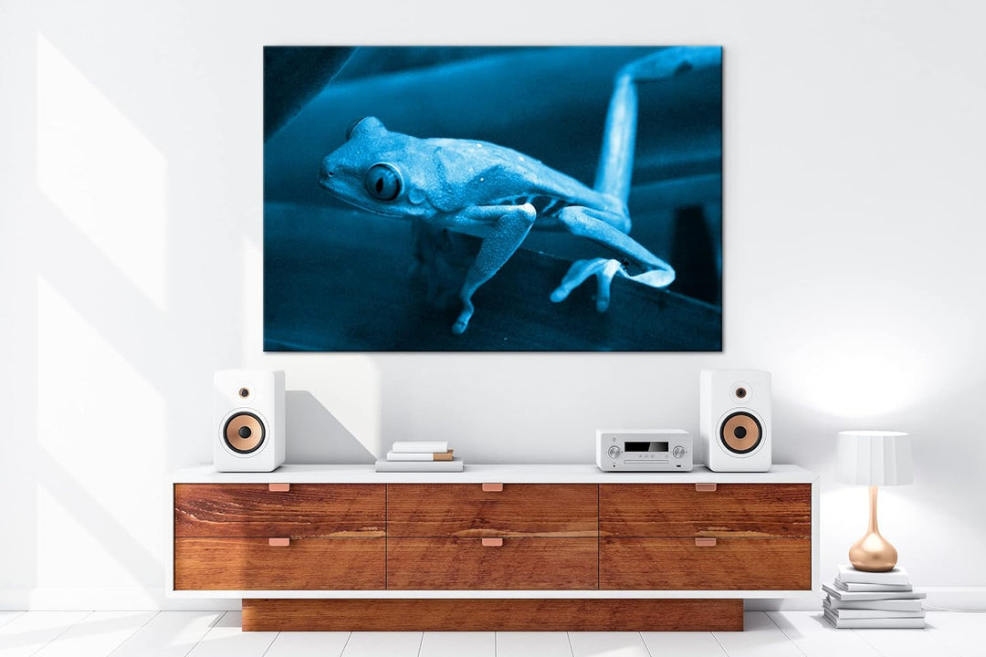 deyoli Exotischer Grüner Frosch mit roten Augen Format 80x60 Effekt: Monocrome Blau als Leinwandbild