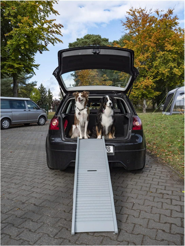 Hunderampe Emma belastbar bis 40kg Tiereinstiegshilfe für PKW Busse Vans Camping Grau