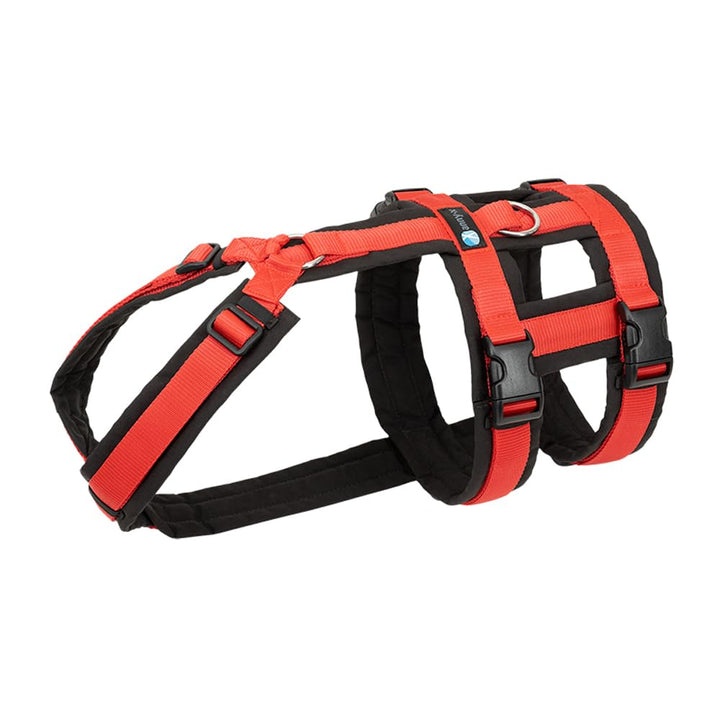 Anny-X Brustgeschirr Safety Fun Schwarz-Rot | Ausbruchsicheres Hundegeschirr mit Taillengurt | Gröss