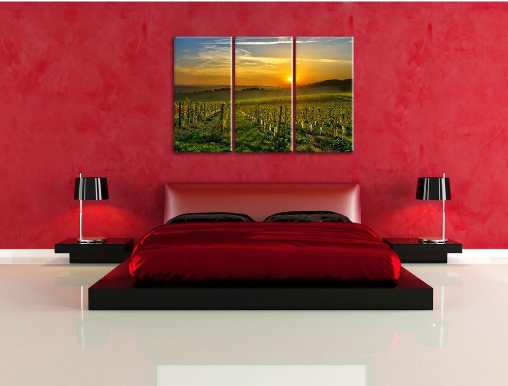 Pixxprint Weinberg in Bergerac Frankreich als Leinwandbild | Grösse: 3 Teilig (120x80) | Wandbild| K