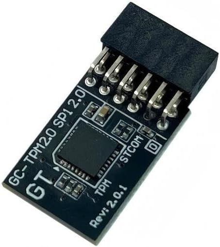 JINTAI 12-Pin-Modul TPM SPI 12-Pin-Modul für Gigabyte-Motherboard Z390 M Gaming Z490M (rev. 1.0) Z49