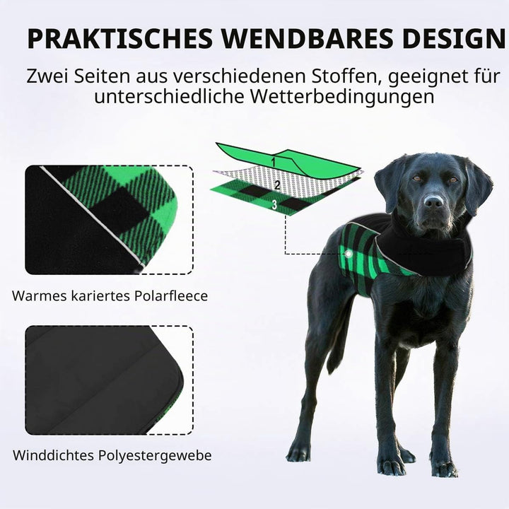CITÉTOILE Warme Hundemantel Winter mit Bauchschutz Grün S | Wendbare Hundejacke mit Geschirrloch, Wi