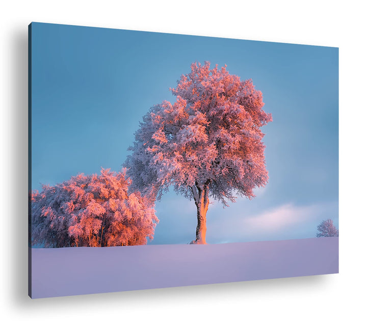 deyoli schneebedeckte Bäume Format: 80x60 als Leinwand, Motiv fertig gerahmt auf Echtholzrahmen, Hoc
