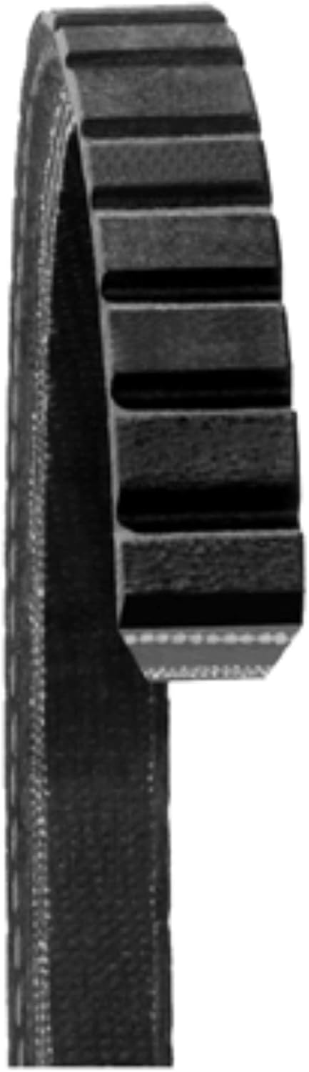 Dayco 15545 Keilriemen