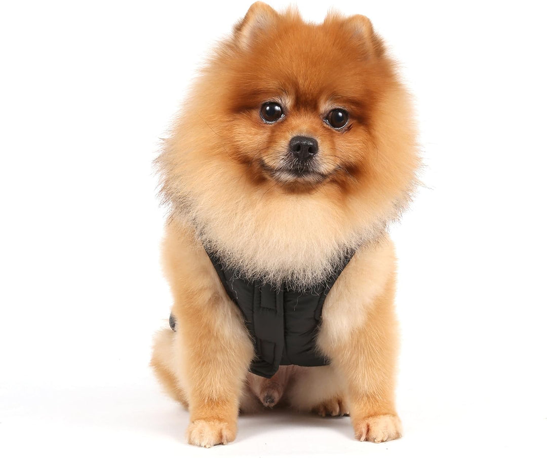 Doggy Dolly W066 Hundejacke mit Kapuze und Kunstfell, schwarz, Wintermantel/Winterjacke, Grösse : XL