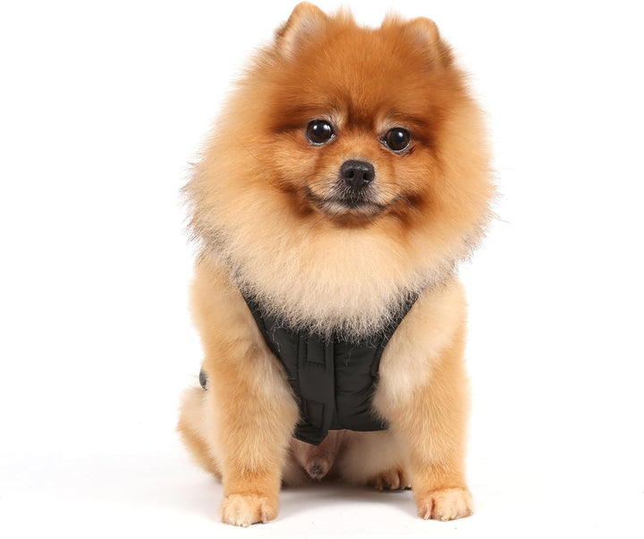 Doggy Dolly W066 Hundejacke mit Kapuze und Kunstfell, schwarz, Wintermantel/Winterjacke, Grösse : M