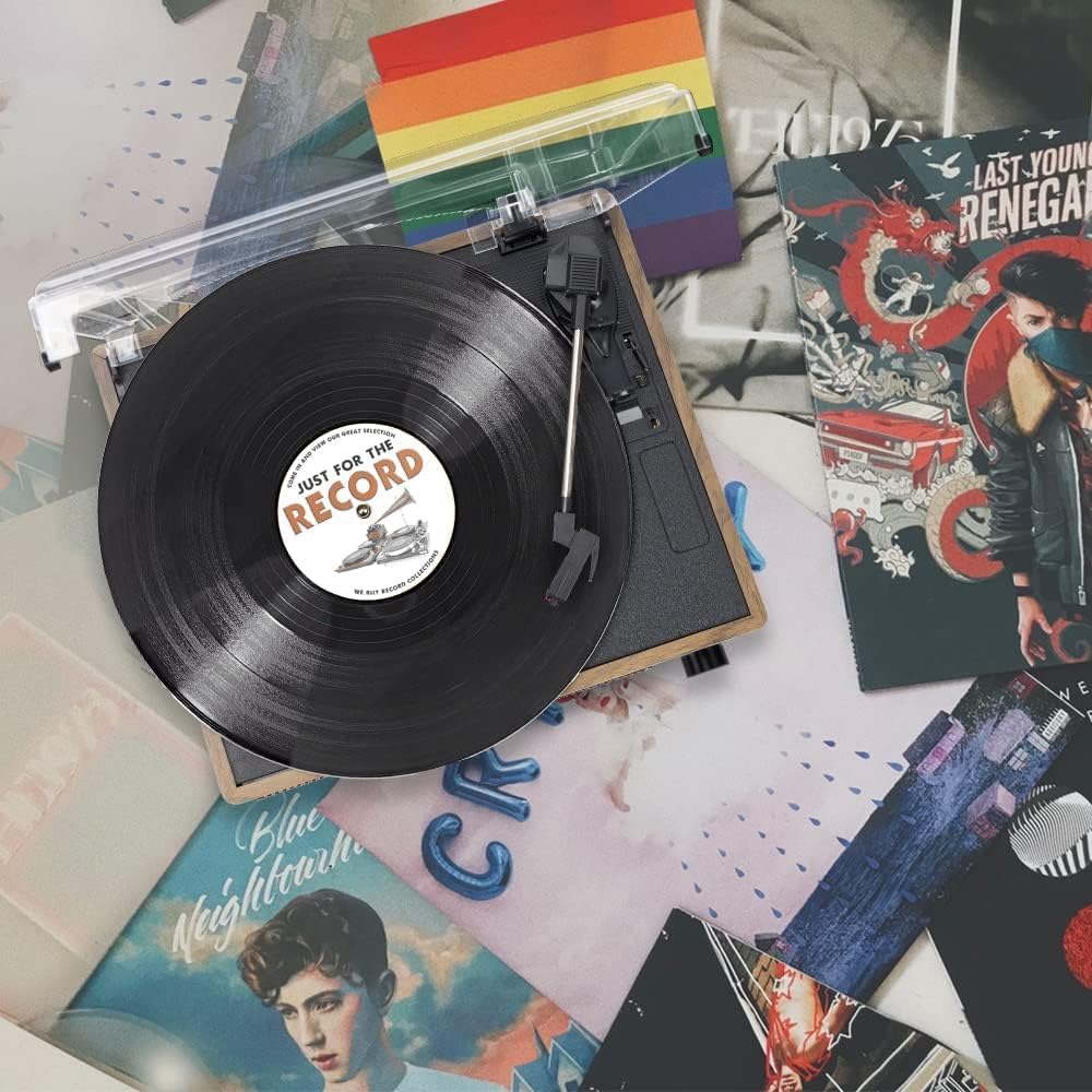Trynnay Plattenspieler mit Lautsprecher Vinyl Schallplattenspieler Wireless LP Phonograph mit Eingeb