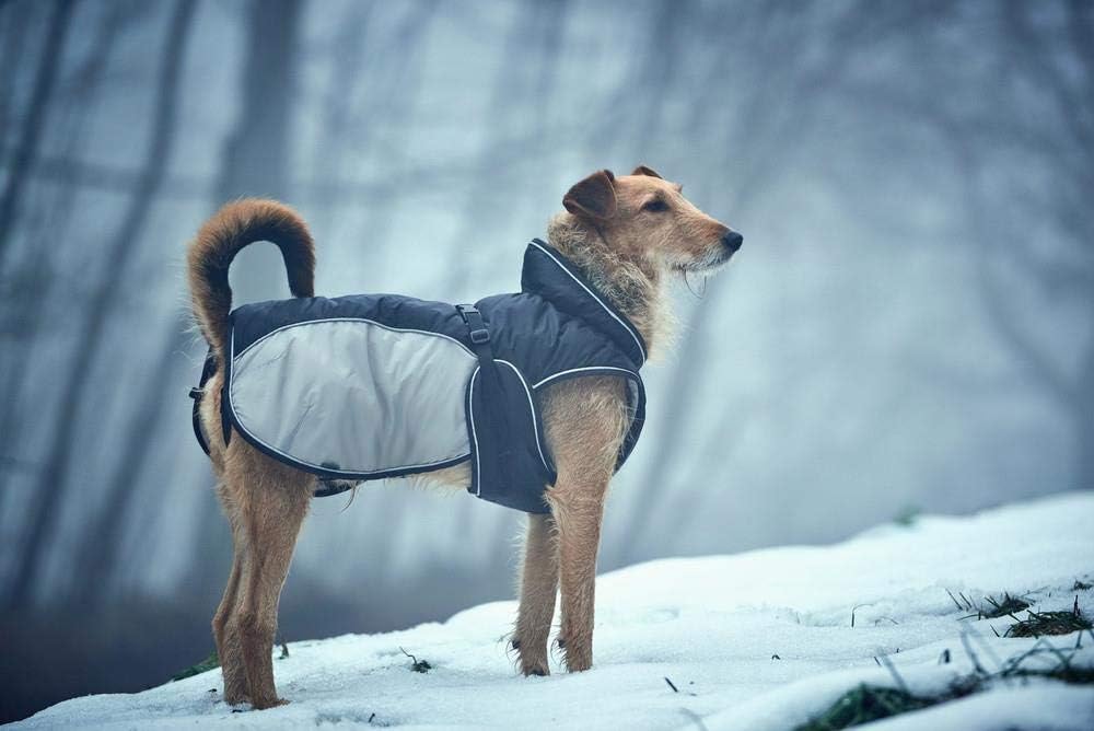 HUNTER UPPSALA EXTREME Hundemantel, Wintermantel, wasserabweisend, reflektierend, 25, schwarz/grau s