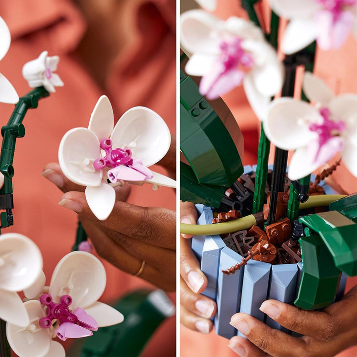 LEGO Icons Orchidee, Künstliche Pflanzen Set mit weissen und rosa Blumen, Modellbausatz für Erwachse