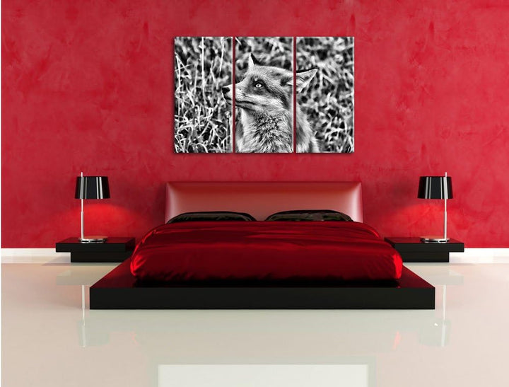 Pixxprint prächtige Waldohreule als Leinwandbild/Grösse: 3 Teilig (120x80) cm/Wandbild/Kunstdruck/fe