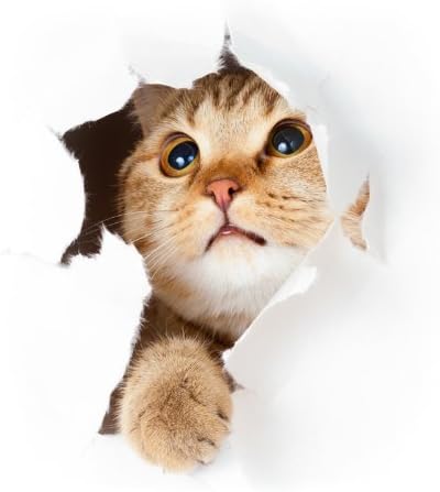 Sticker 3D Effekt | Wandaufkleber Katze - Tapete Dekoration optische Täuschung Raum und Wohnzimmer |