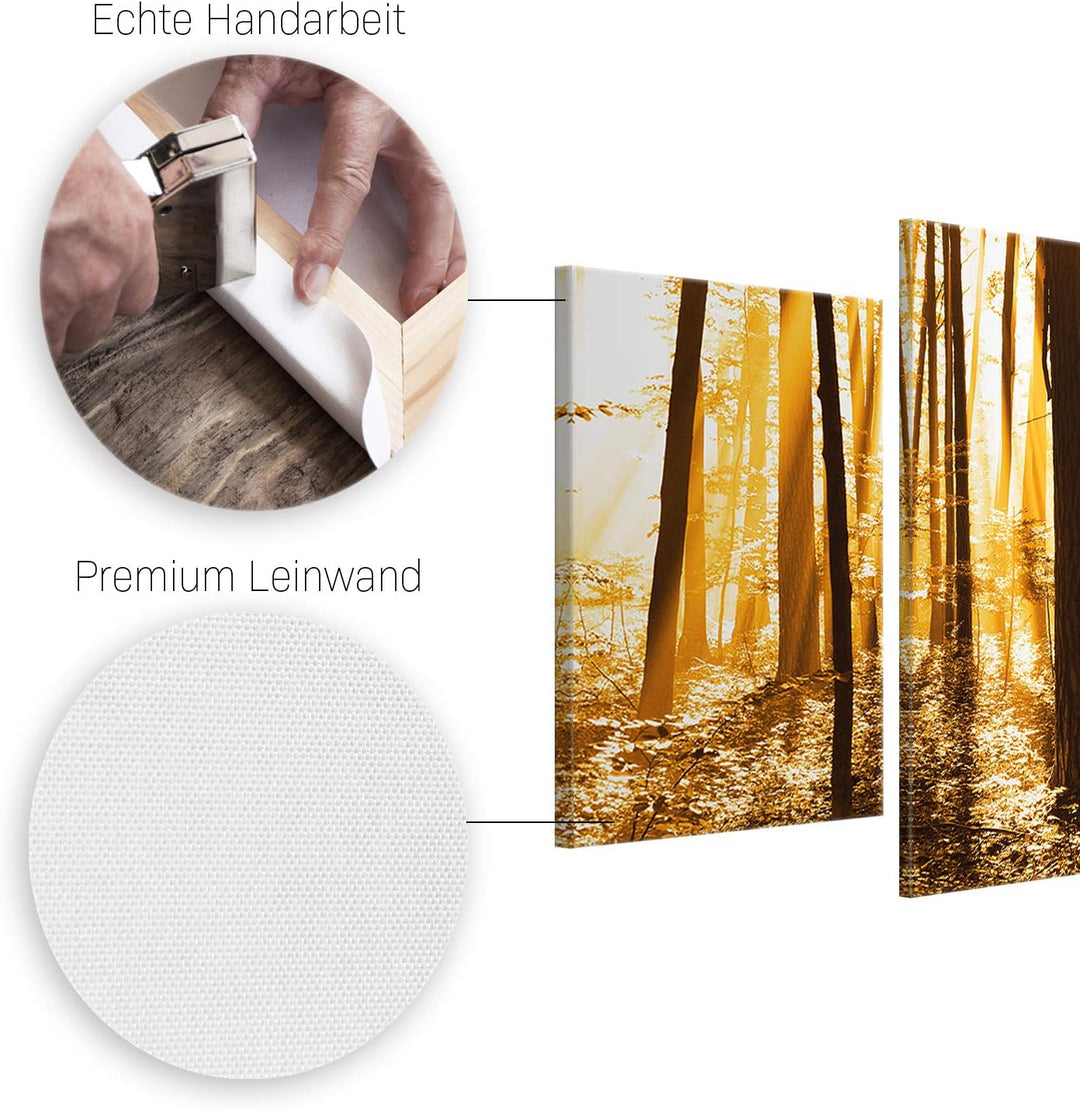 ge Bildet Bild auf Leinwand | Landschaftsbilder - beautiful morning in the forest G in 100x50 cm meh