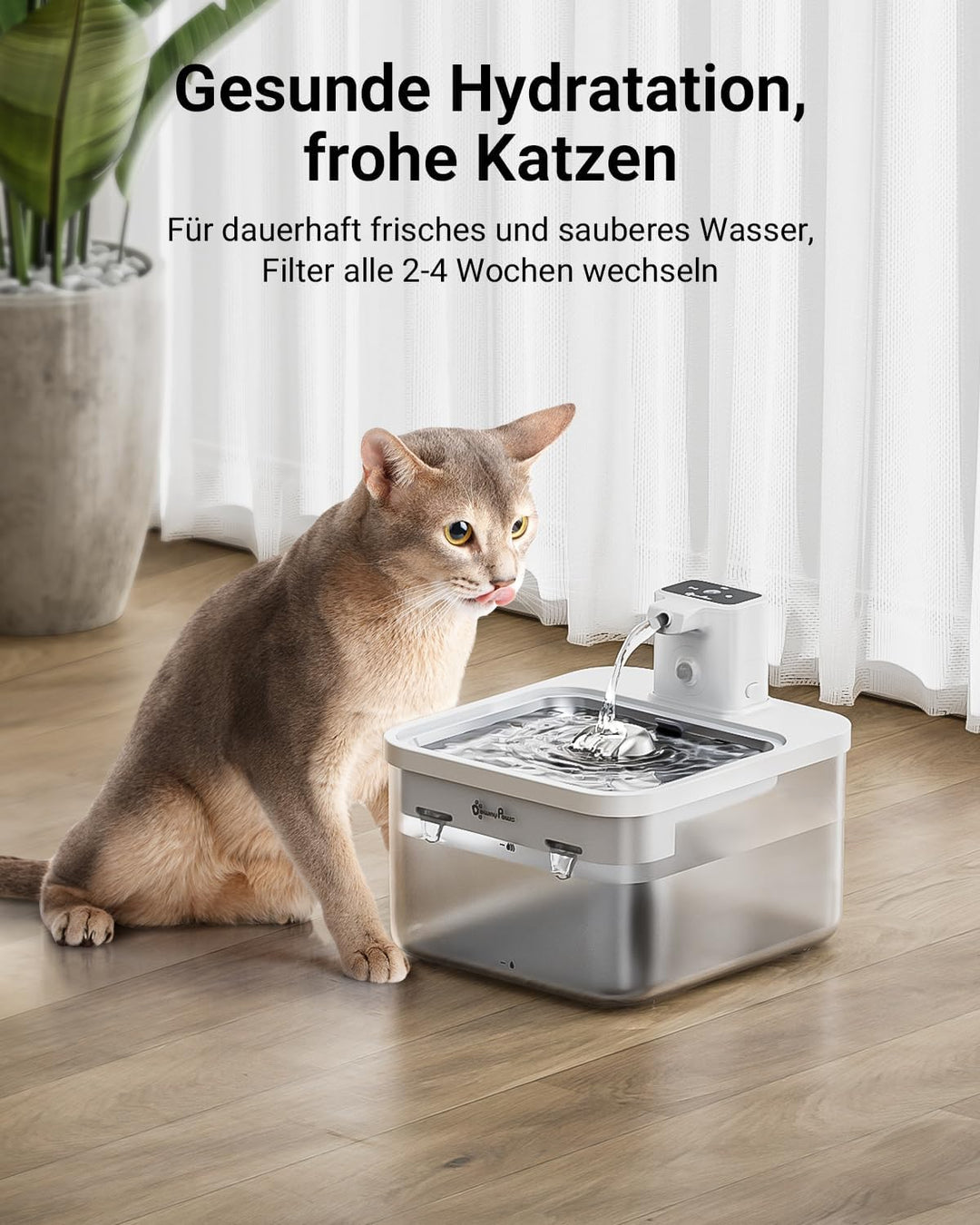DownyPaws Trinkbrunnen für Katze kabellos Filter 6 STK Für DPWFP6 mit Reinigungsschwamm und -bürste