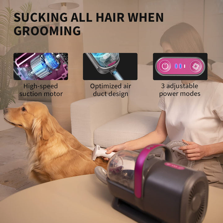 PETKIT Pet Grooming Vacuum Kit (LM4) Grau, Grau