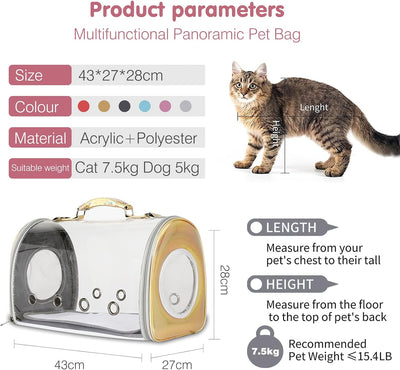 PETCUTE Transporttasche für Hunde & Katzen,Atmungsaktive Transparent Katzentasche Katzentransportbox