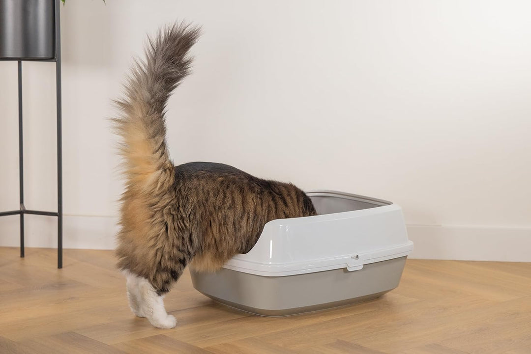 Karlie 522870 Katzentoilette Mary Loo Eco L: 50 B: 38,3 H: 21,4 cm, Grau, Grau