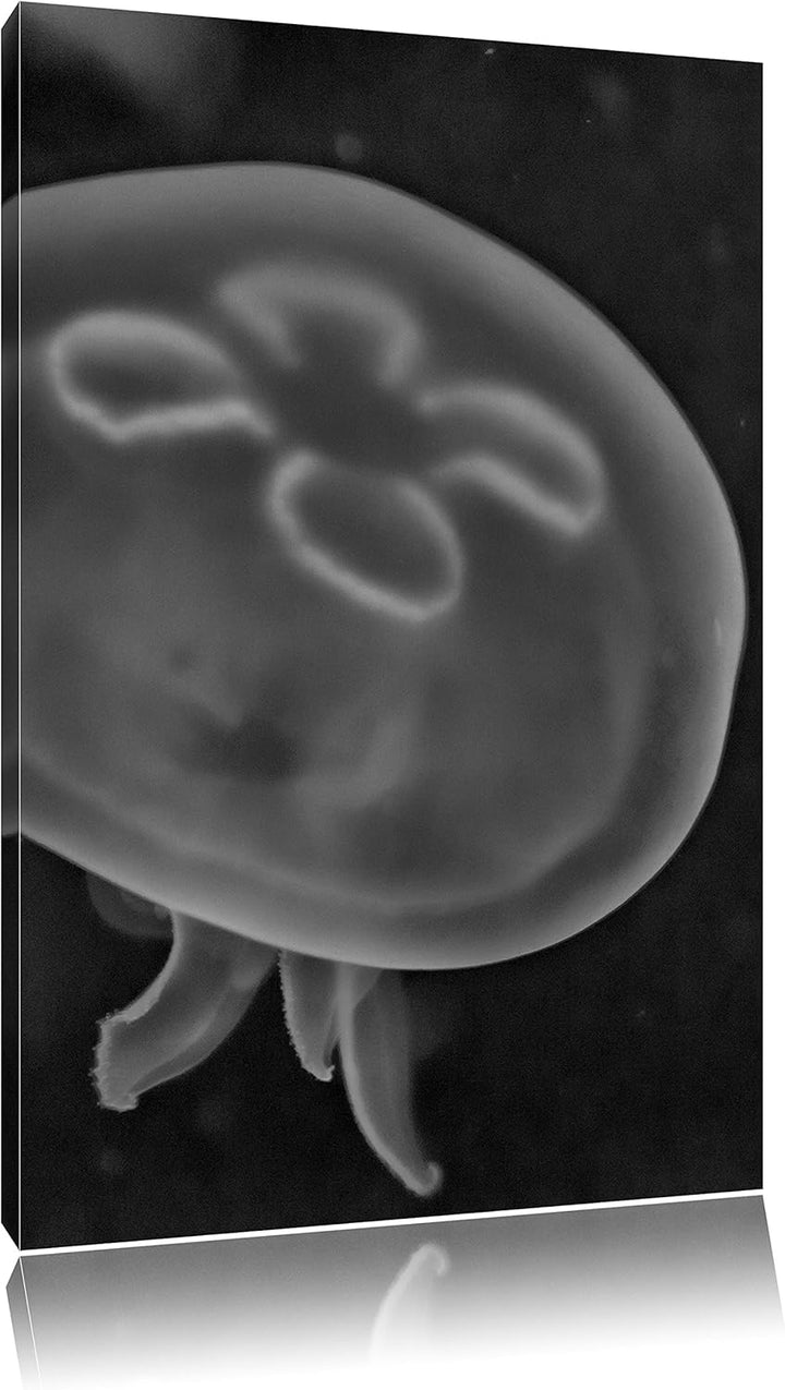 Pixxprint Leuchtend Blaue Qualle/Format: 100x70cm / Leinwandbild fertig bespannt Wandbild Kunstdruck