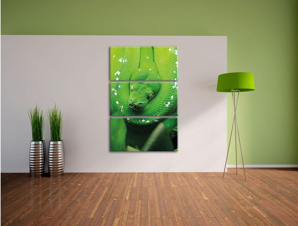 Pixxprint Grüne giftige Schlange als Leinwandbild/Grösse: 3 Teilig (120x80) cm/Wandbild/Kunstdruck/f