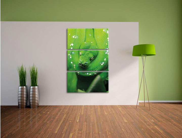 Pixxprint Grüne giftige Schlange als Leinwandbild/Grösse: 3 Teilig (120x80) cm/Wandbild/Kunstdruck/f