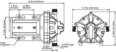 SEAFLO Membranpumpe der Serie 55-12V DC, 5,5 GPM, 60 PSI mit