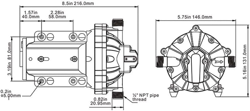 SEAFLO Membranpumpe der Serie 55-12V DC, 5,5 GPM, 60 PSI mit