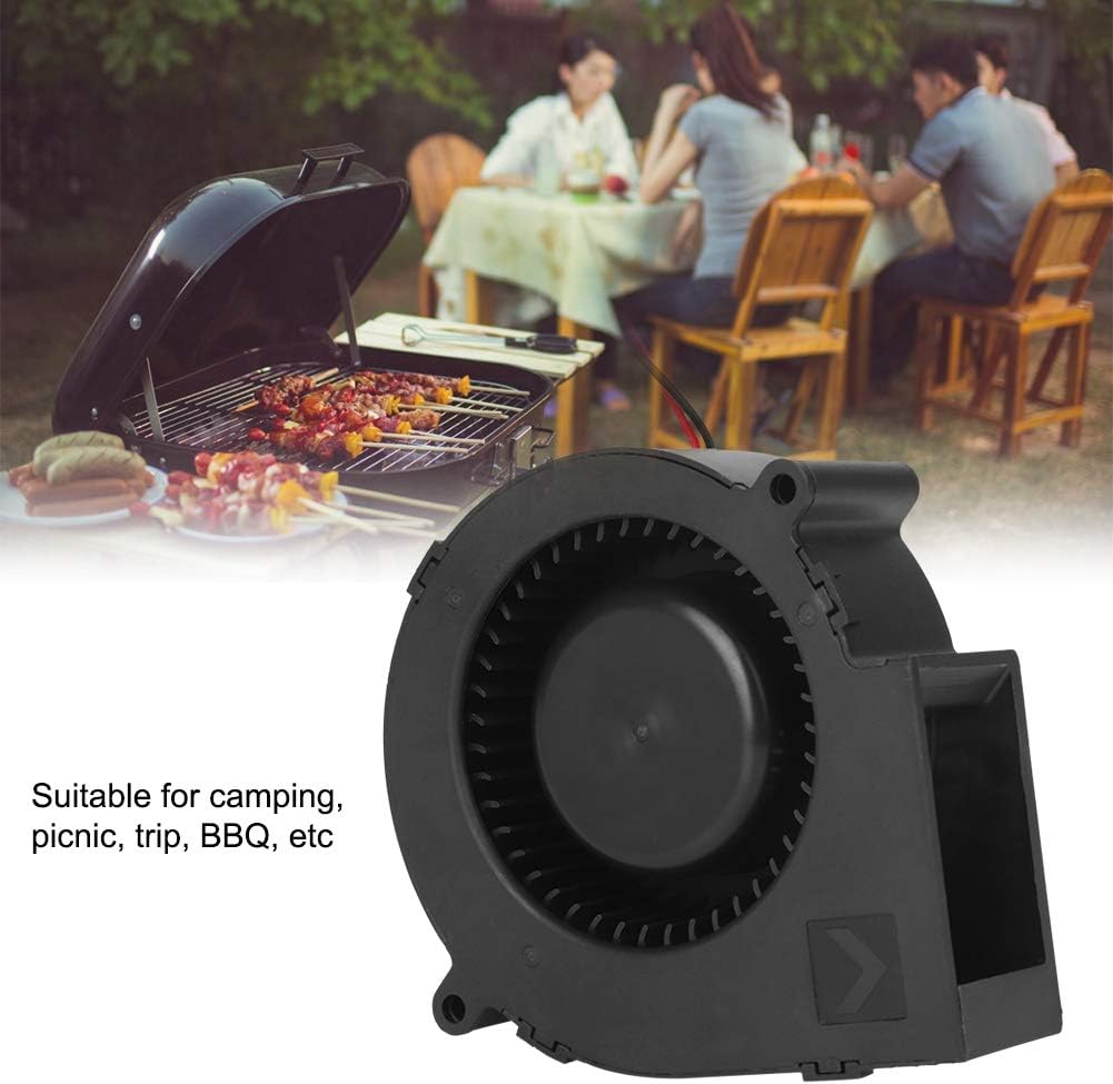Haofy Radialventilator 12 V DC 42 CFM 5400 U/min mit Doppelkugellager für Camping, Picknick, Grillen