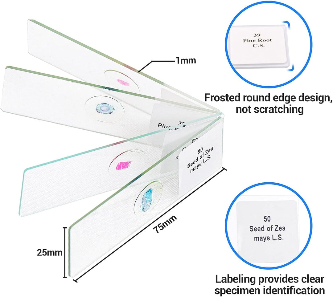 USCAMEL 100 Mikroskop Objektträger, 100 vorbereitete Mikroskop-Objektträger mit Exemplaren für Kinde