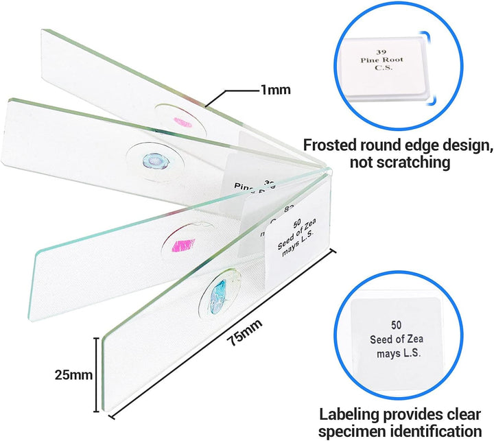 USCAMEL 100 Mikroskop Objektträger, 100 vorbereitete Mikroskop-Objektträger mit Exemplaren für Kinde