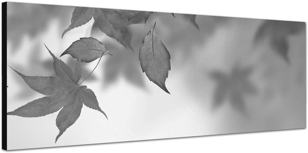 Paul Sinus Art Leinwandfoto als Panorama SCHWARZ/Weiss 150x50cm Herbst Blätter